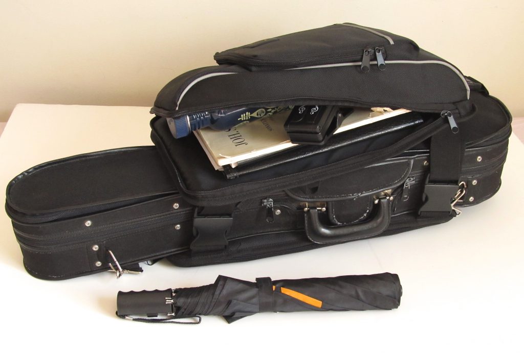 lightweight violin case backpack